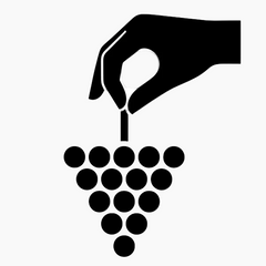 Ikon Hand Trauben